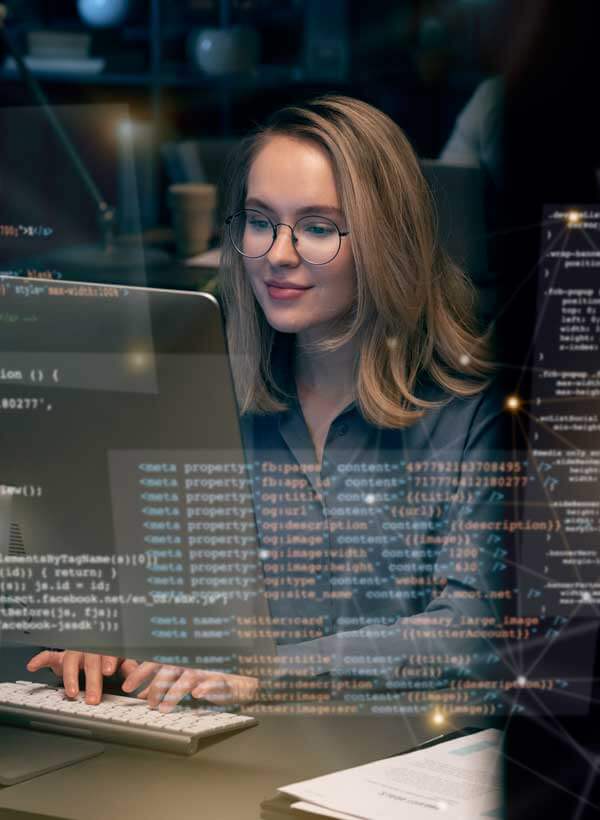 LBI Egypt dashboard preview