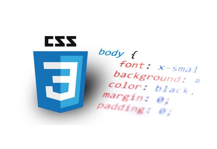 دورة CSS